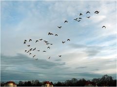 Vor dem Sturm *