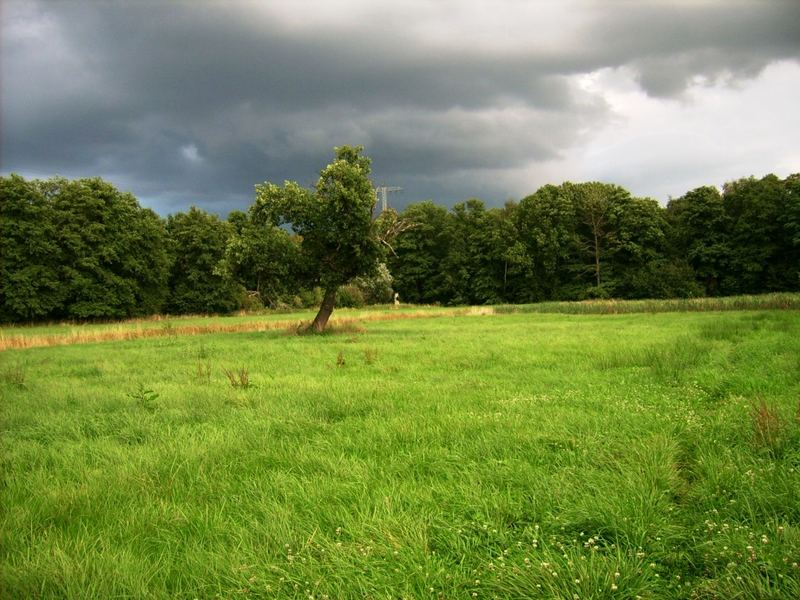 vor dem Sturm