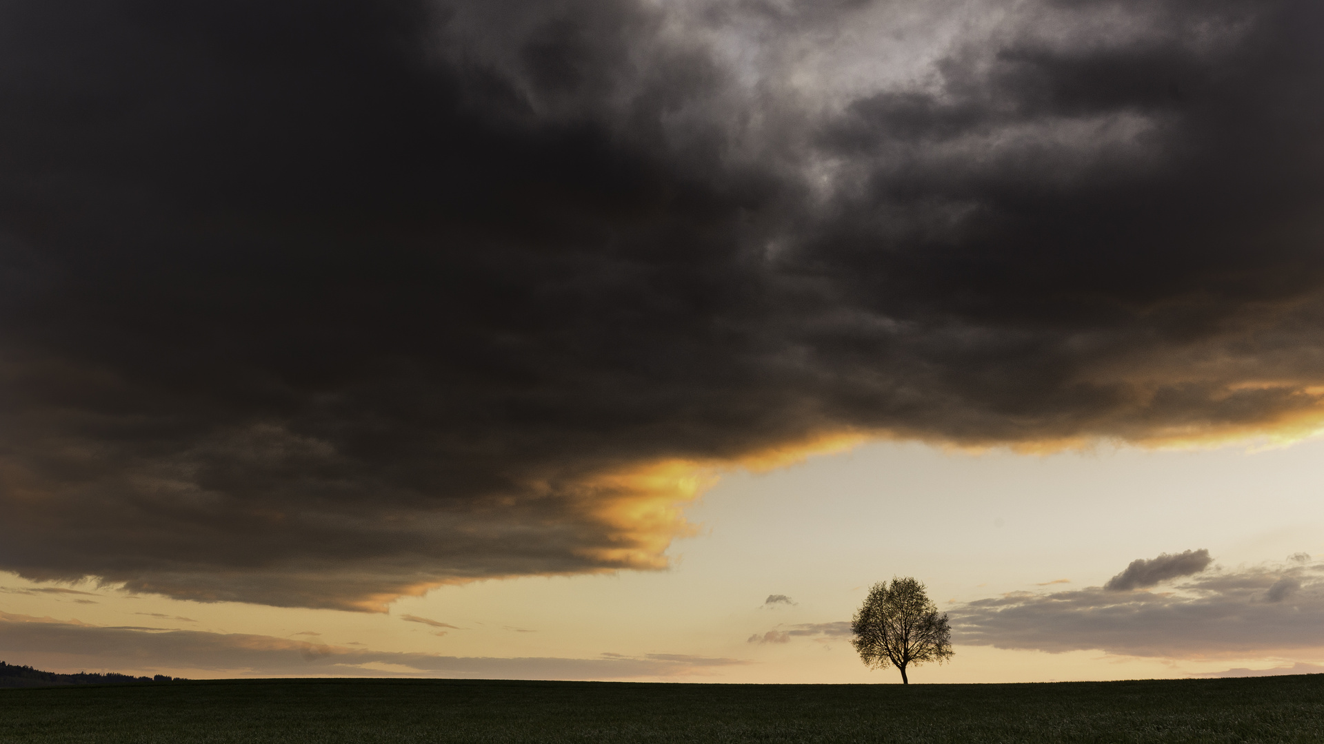 Vor dem Sturm