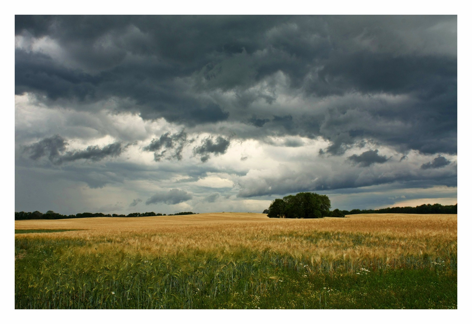 Vor dem Sturm...