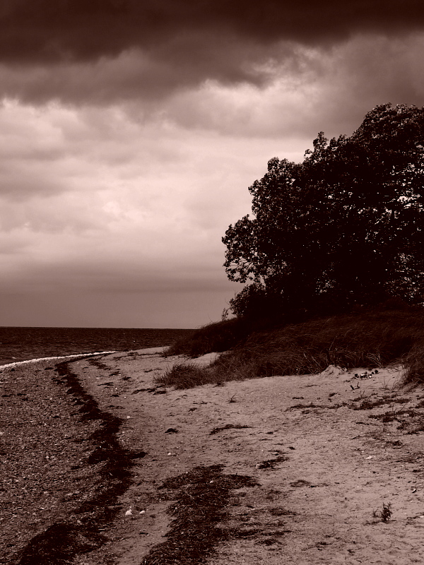 Vor dem Sturm