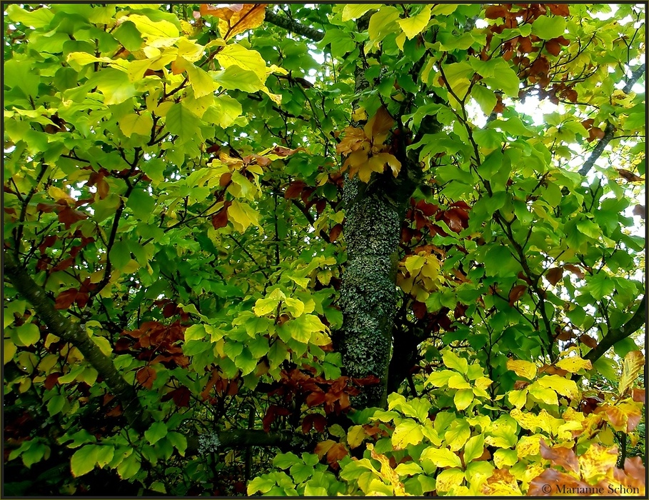 Vor dem Sturm...