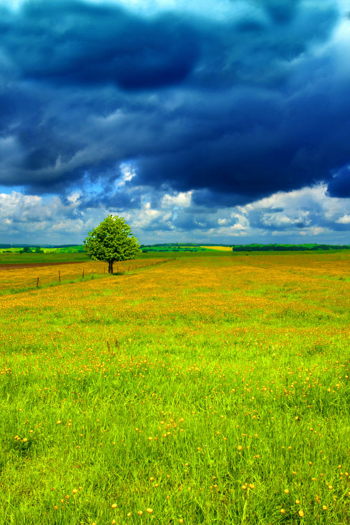 Vor dem Sturm