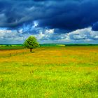 Vor dem Sturm