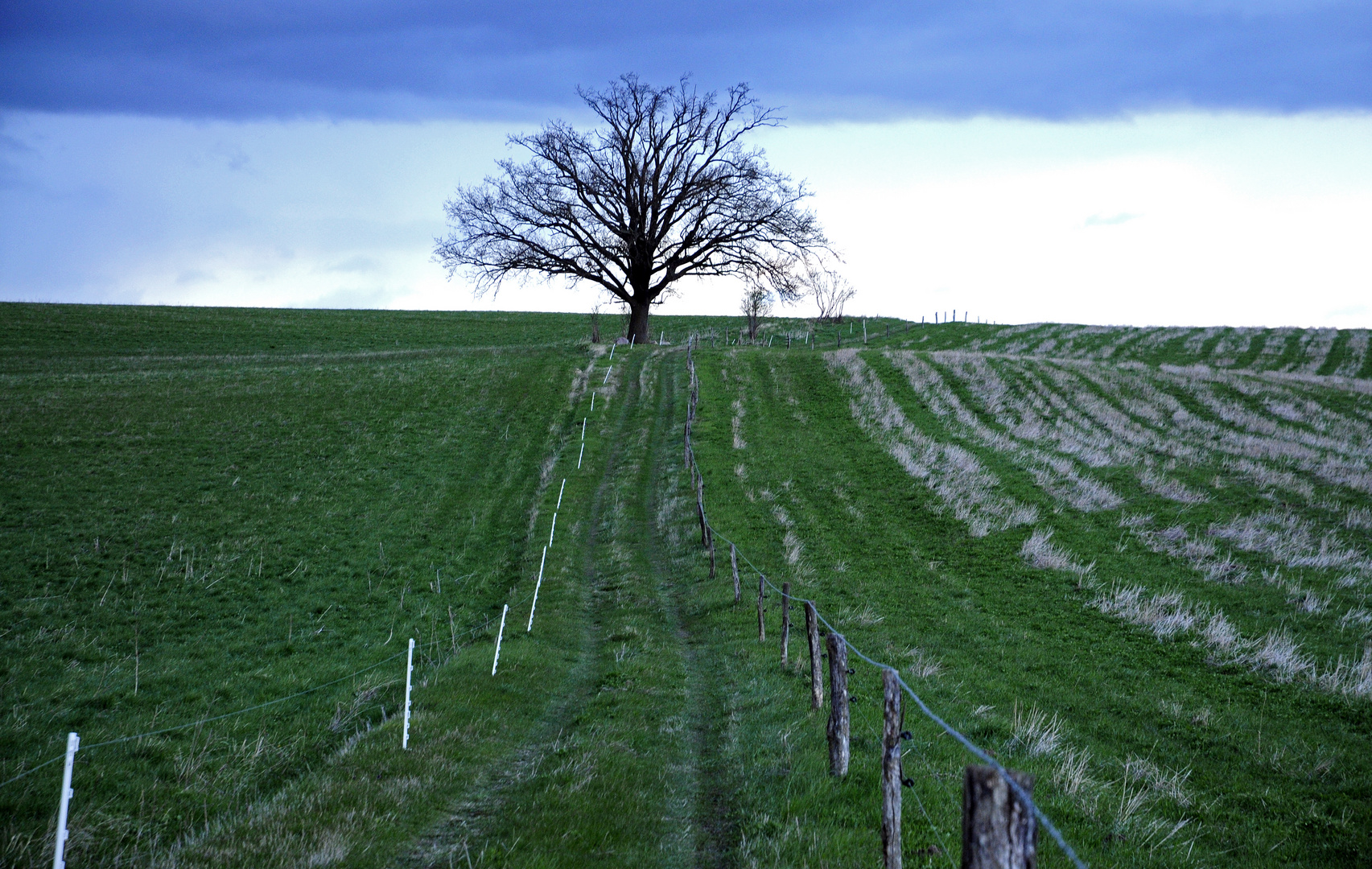 Vor dem Sturm