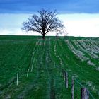 Vor dem Sturm