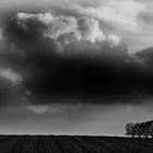 Vor dem sturm