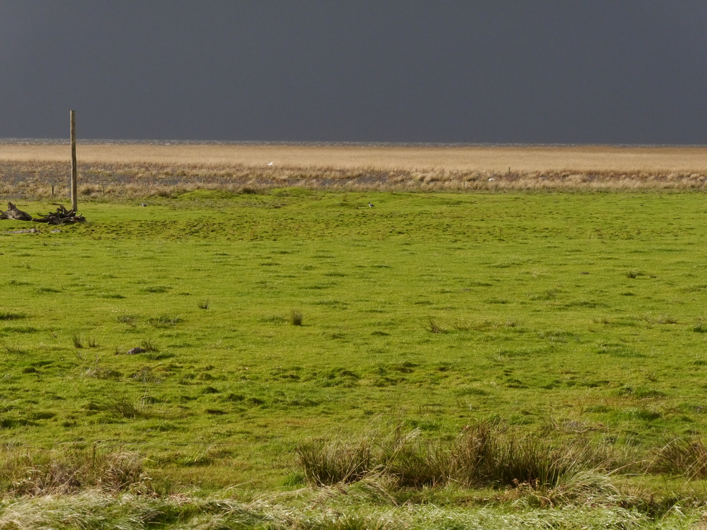 vor dem Sturm