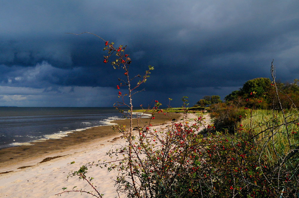 Vor dem Sturm