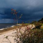 Vor dem Sturm