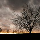 Vor dem Sturm 