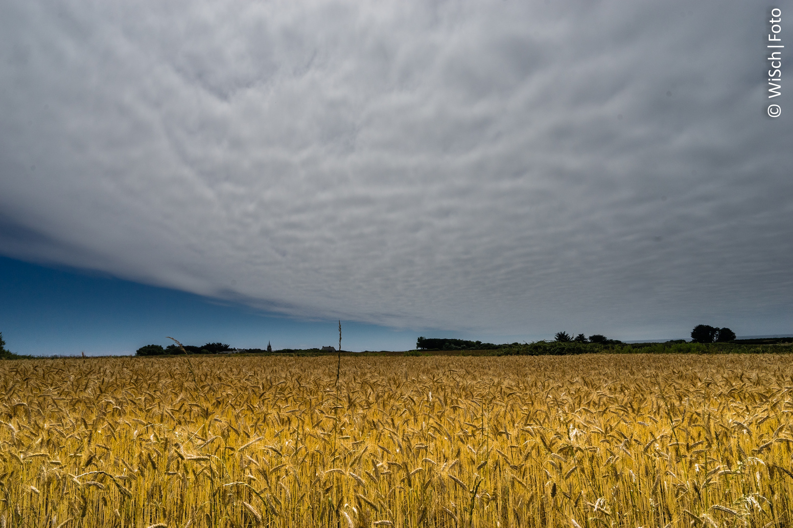 Vor dem Sturm