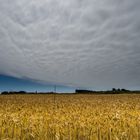 Vor dem Sturm