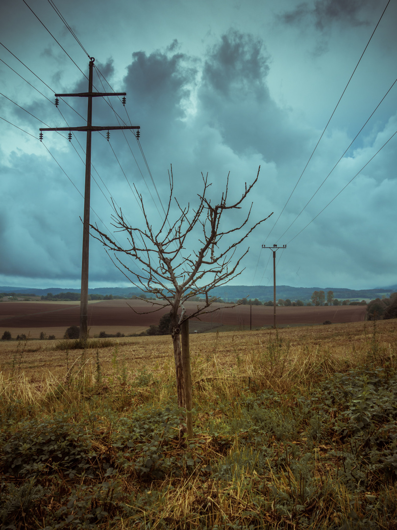 Vor dem Sturm