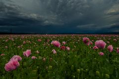 vor dem Sturm