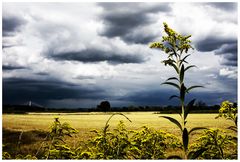 Vor dem Sturm