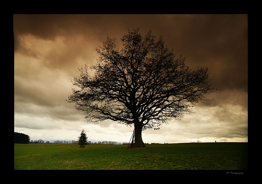 Vor dem Sturm