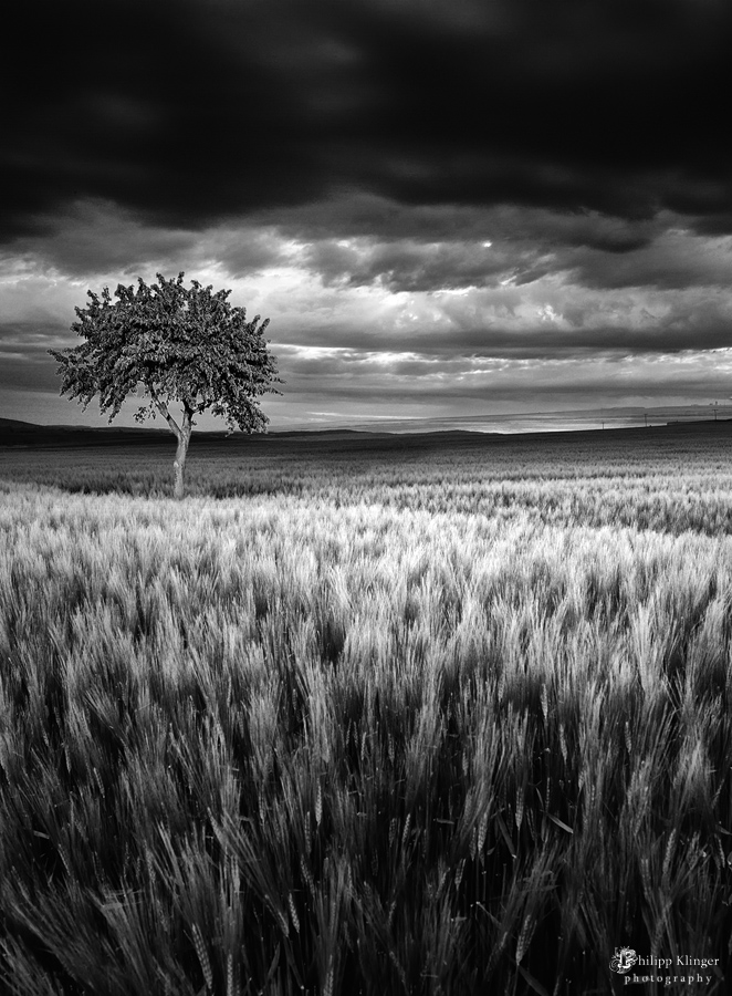 Vor dem Sturm