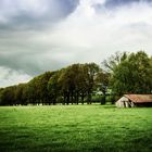 Vor dem Sturm