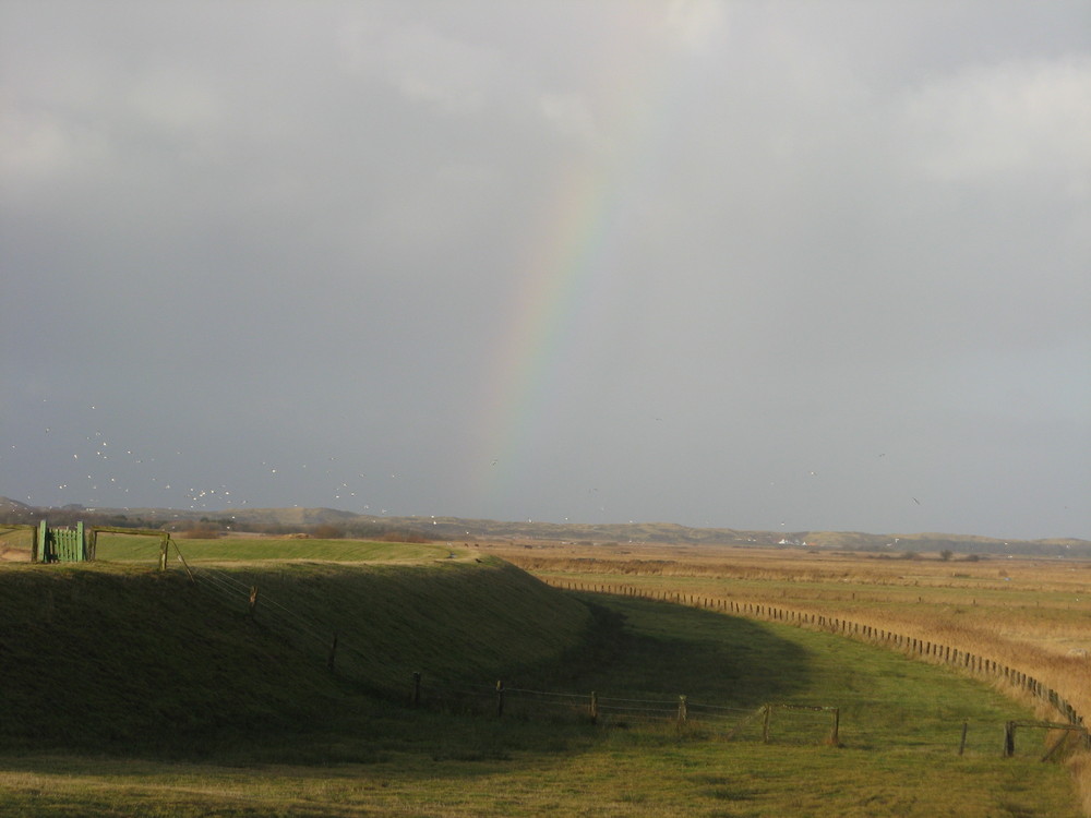 ... vor dem Sturm und Regen am .....