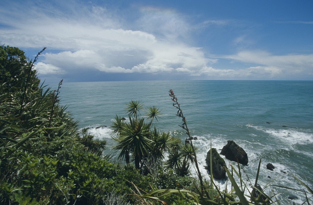 Vor dem Sturm (Westcoast)