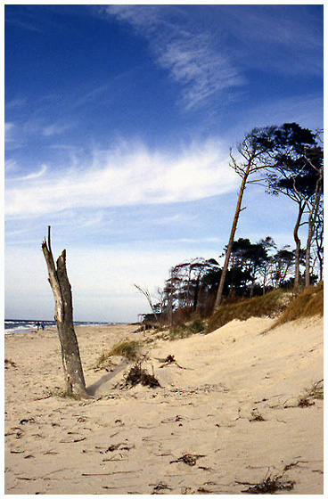 Vor dem Sturm ..Weststrand 2