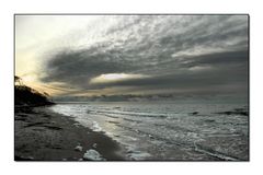 Vor dem Sturm - Weststrand /Darss