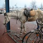 Vor dem Supermarkt...