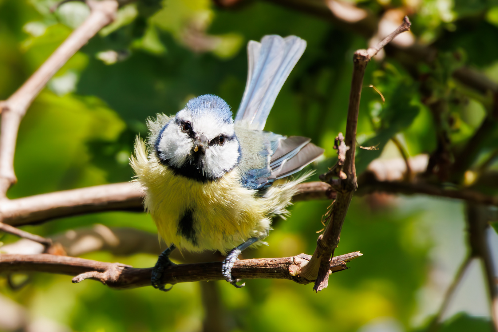 VOR DEM TAKEOFF