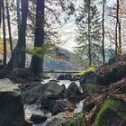 Vor dem Todtnauer Wasserfall