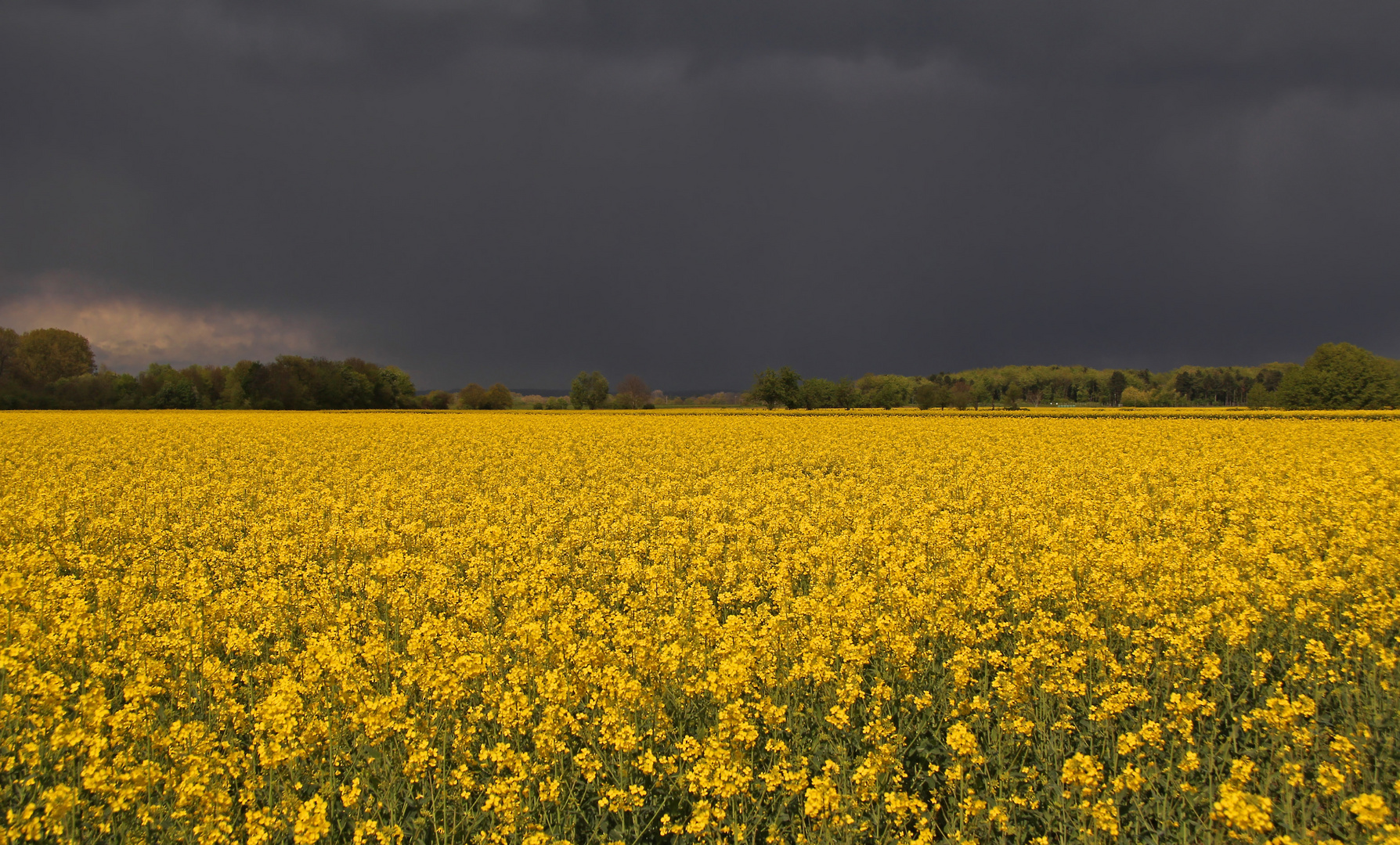 Vor dem Unwetter...