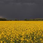 Vor dem Unwetter...