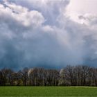 Vor dem Unwetter (1)