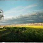 Vor dem Unwetter