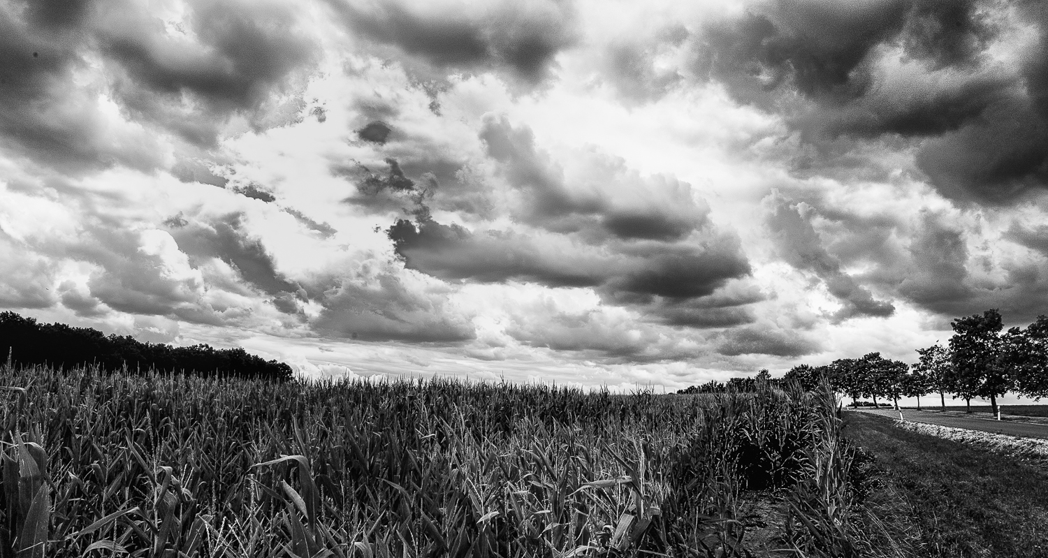 vor dem Unwetter