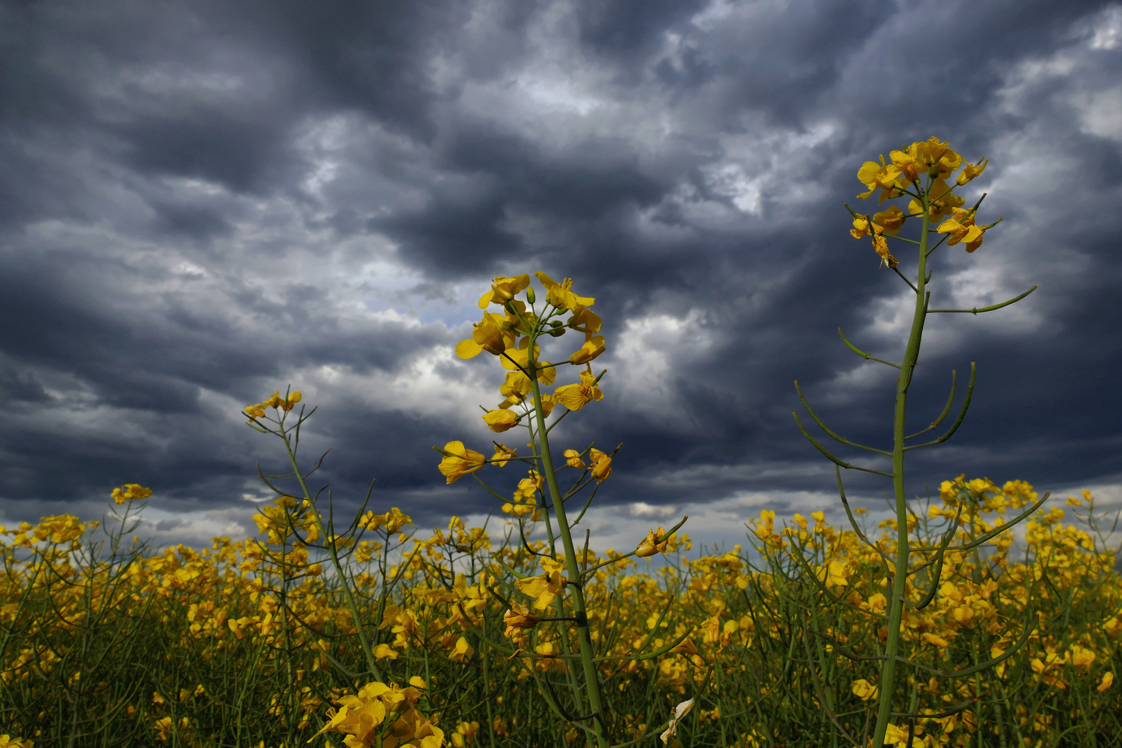 Vor dem Unwetter