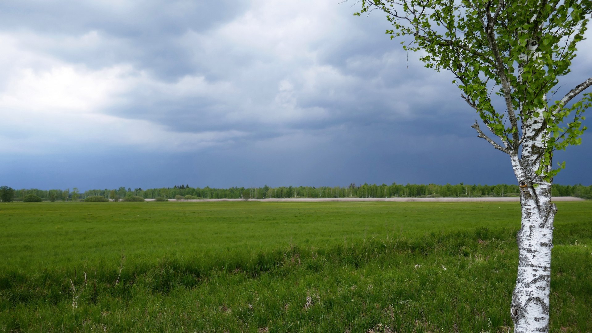 Vor dem Unwetter