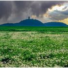 vor dem Unwetter