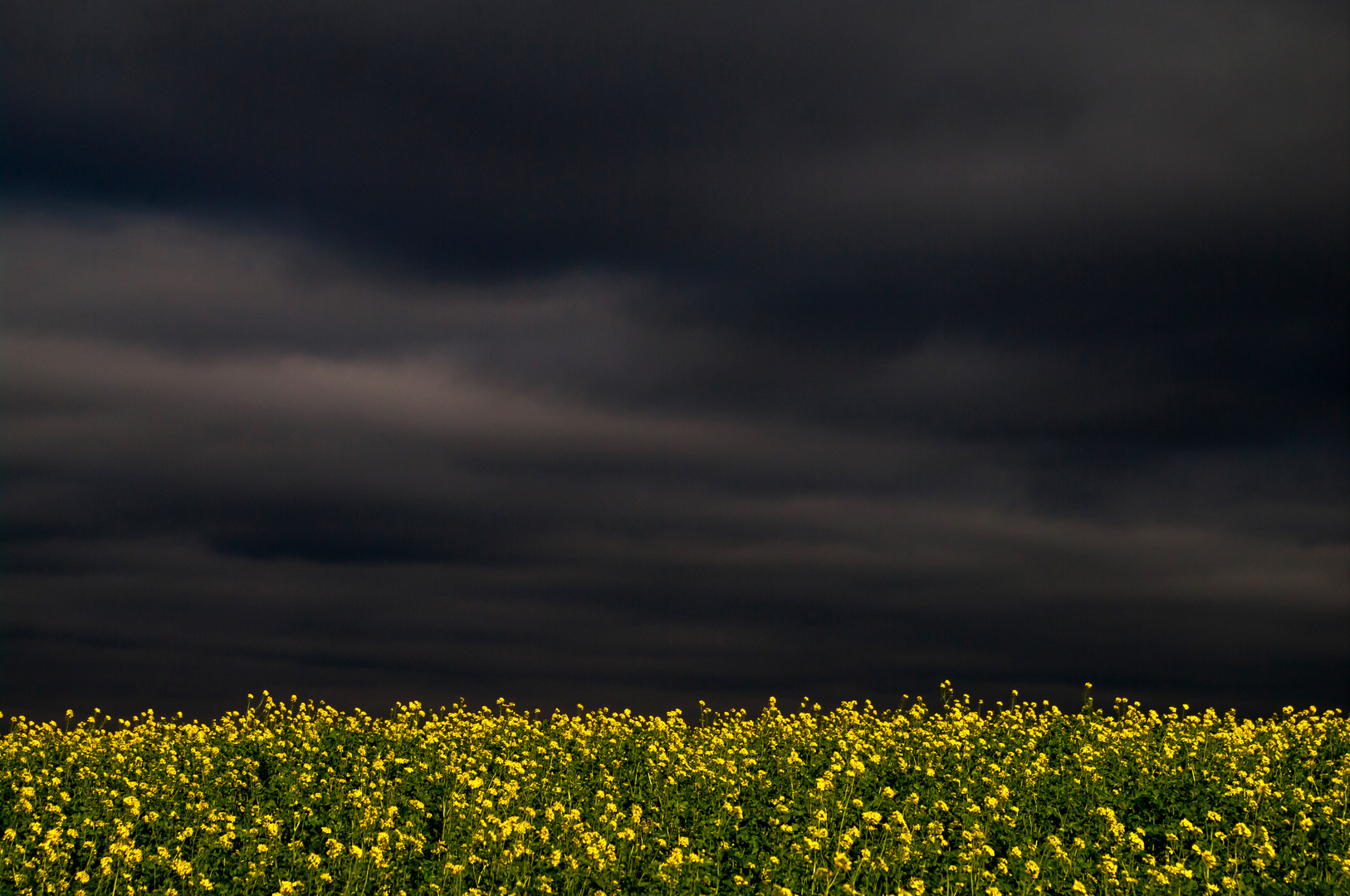 Vor dem Unwetter