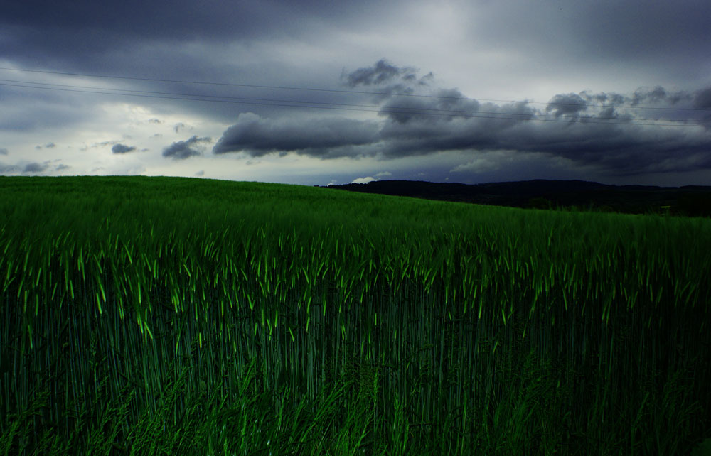 Vor dem Unwetter