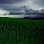 Vor dem Unwetter