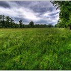 Vor dem Unwetter