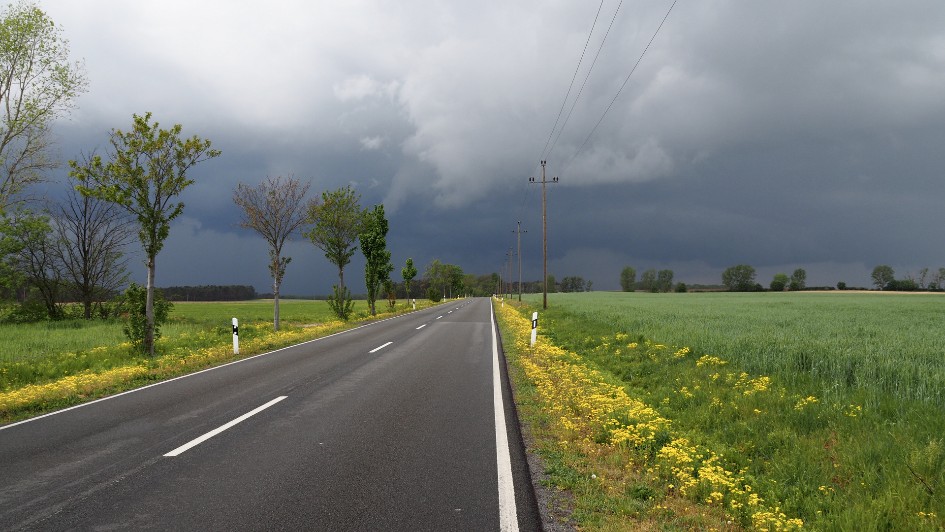 Vor dem Unwetter