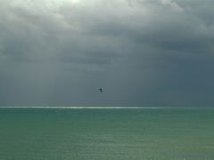 Vor dem Unwetter / Prima del tempo di burrasca