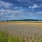 Vor dem Verzehr der Ansbacher Bratwürste