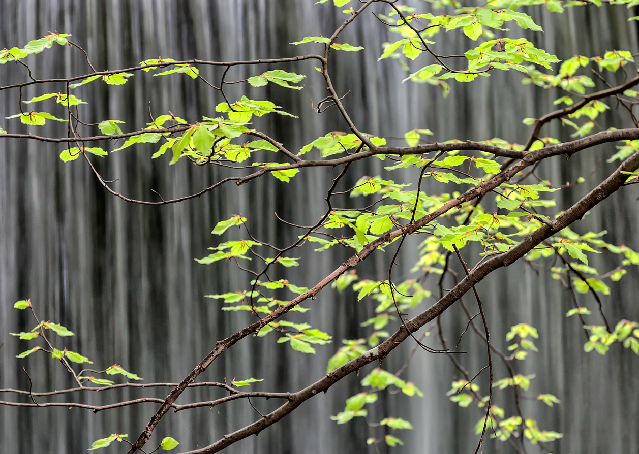 Vor dem Wasserfall