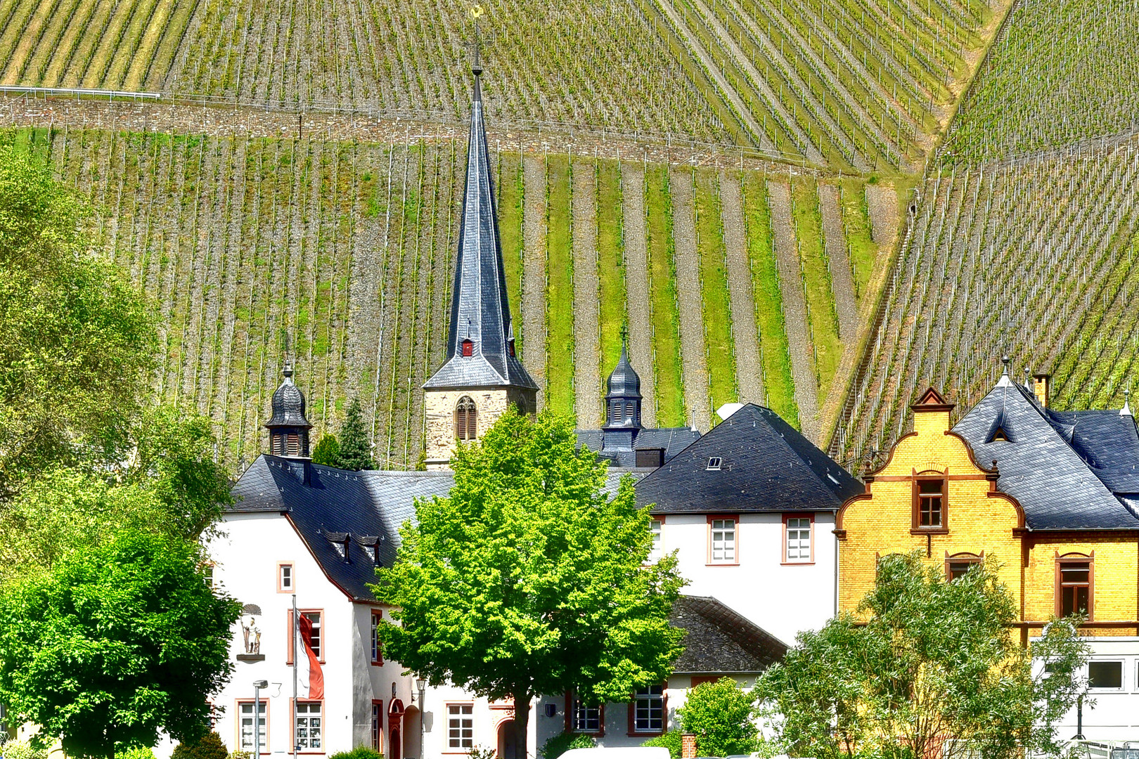 Vor dem Weinberg