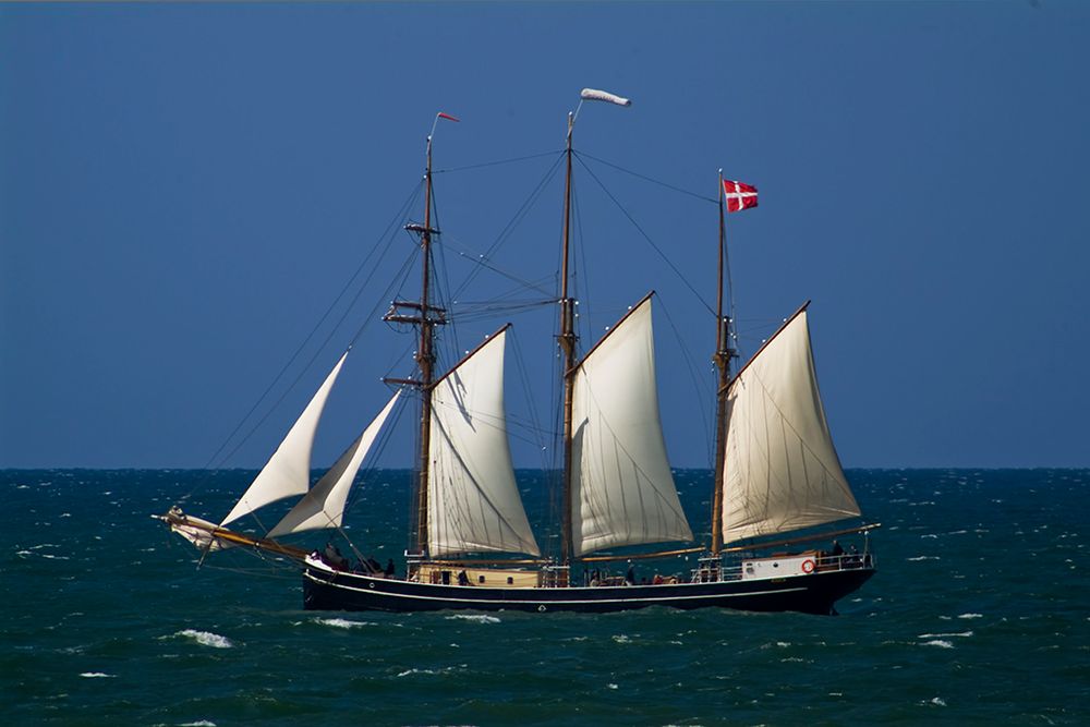 Vor dem Wind von Wedigo Ferchland 