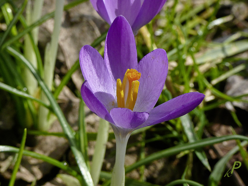 Vor dem Wintereinbruch