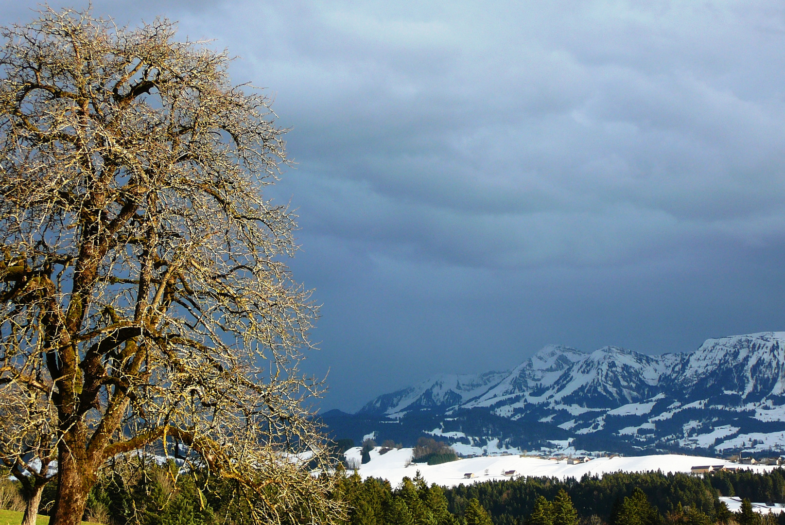 Vor dem Wintergewitter